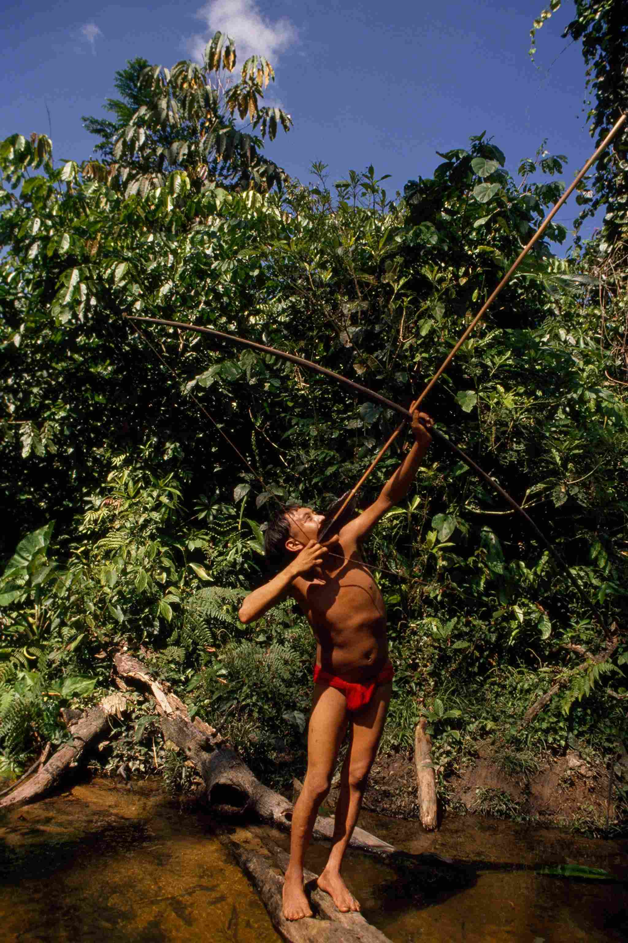 Rare Photos of Brazilian Tribe